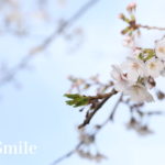 [ママスク撮影会ギャラリー]桜の撮影会＠横須賀【2021.03.27】